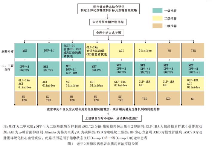 老年糖尿病如何管理？专家给您最权威解读