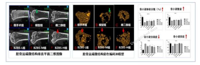 以岭药业八子补肾胶囊抗衰老研究取得重大进展