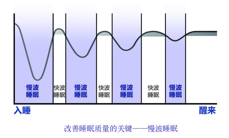 超3亿人有助眠需求 以岭药业酸枣仁油软胶囊呵护睡眠健康