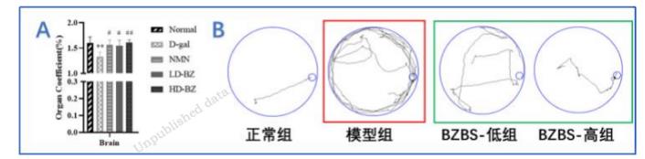 以岭药业八子补肾胶囊抗衰老研究取得重大进展