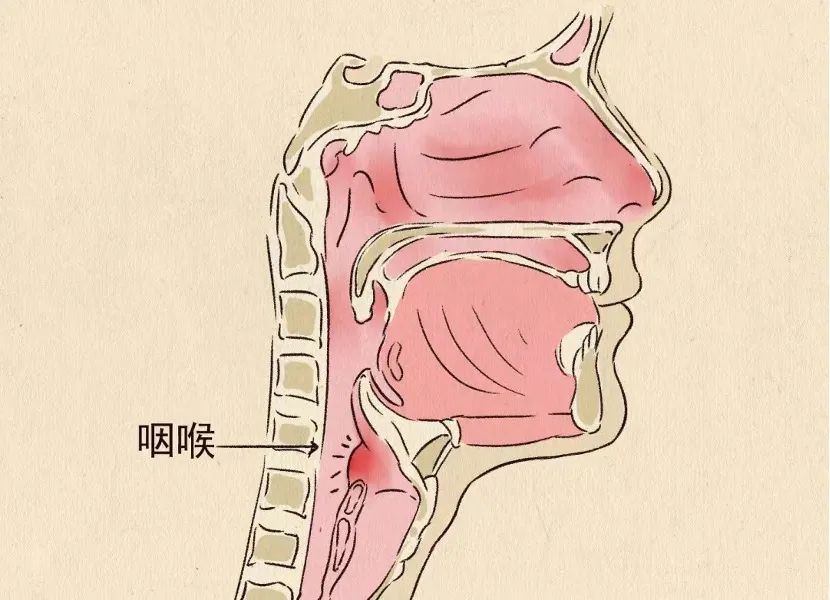 哪三种症状可以服用连花清瘟？中医教你用连花清瘟防疫